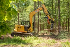 Forestry Mulching & Land Clearing - Petersburg, PA