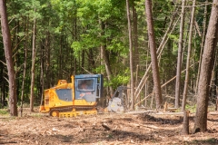 Forestry Mulching & Land Clearing - Petersburg, PA