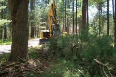 Forestry Mulching & Land Clearing - Petersburg, PA