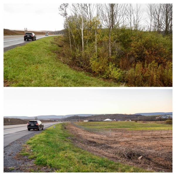 Forestry Mulching & Land Clearing - Pine Croft PA