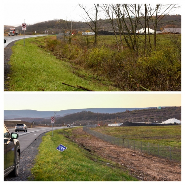 Forestry Mulching & Land Clearing - Pine Croft PA