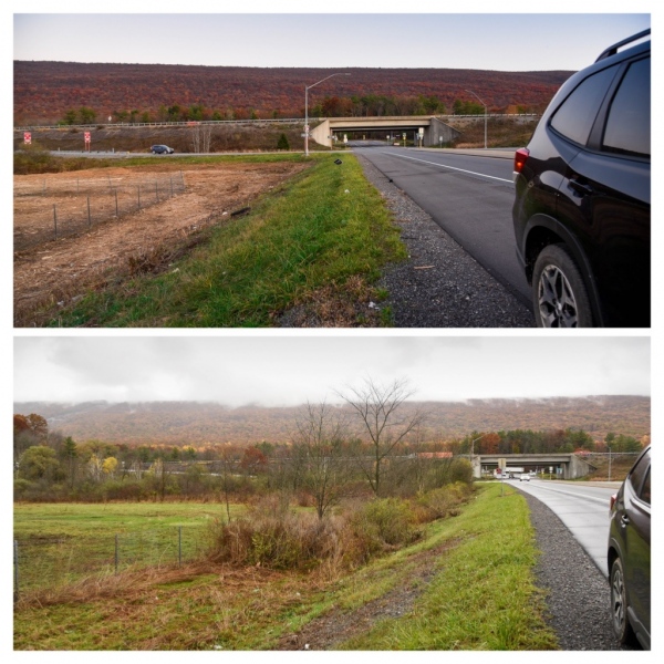 Forestry Mulching & Land Clearing - Pine Croft PA