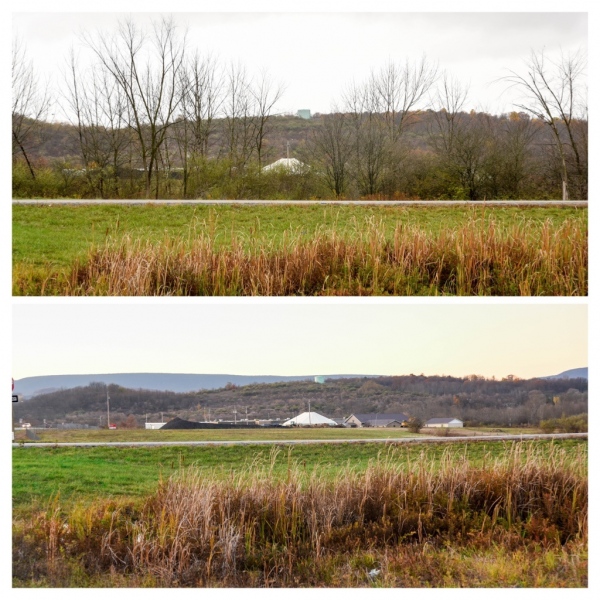 Forestry Mulching & Land Clearing - Pine Croft PA