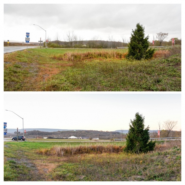 Forestry Mulching & Land Clearing - Pine Croft PA