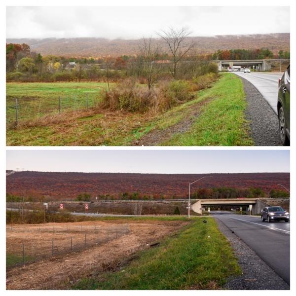 Forestry Mulching & Land Clearing - Pine Croft PA