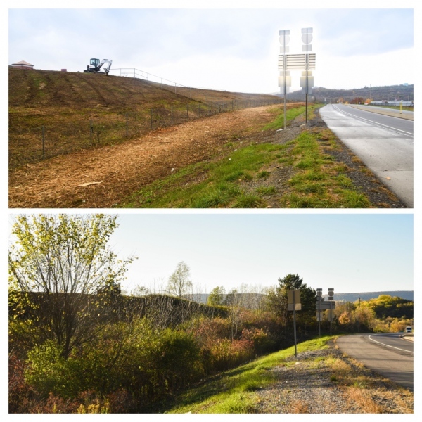 Forestry Mulching & Land Clearing - Pine Croft PA