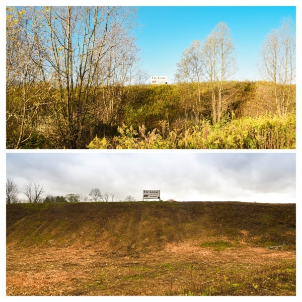 Forestry Mulching & Land Clearing - Pine Croft PA