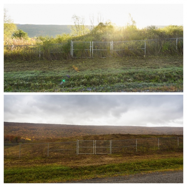 Forestry Mulching & Land Clearing - Pine Croft PA