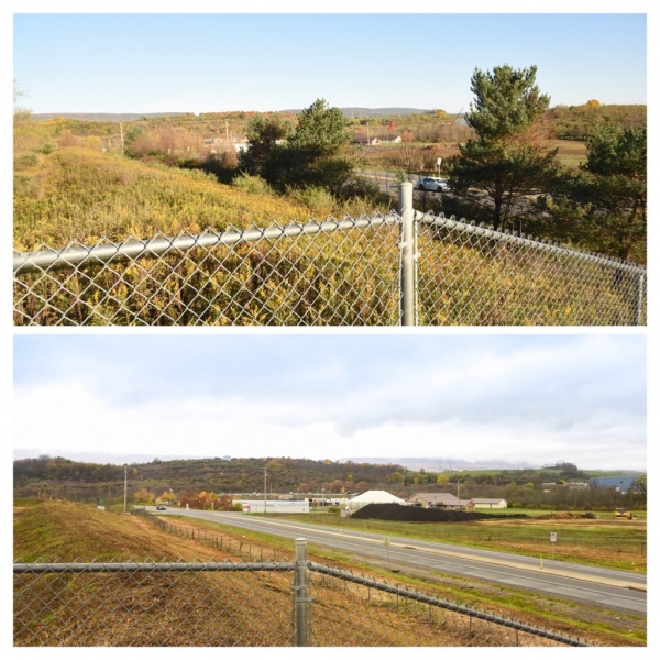 Forestry Mulching & Land Clearing - Pine Croft PA