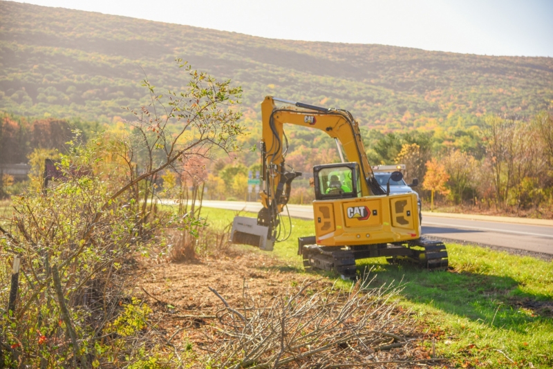 Forestry Mulching & Land Clearing - Pine Croft PA