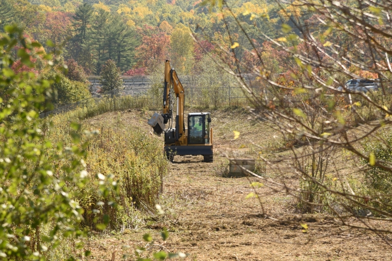 Forestry Mulching & Land Clearing - Pine Croft PA