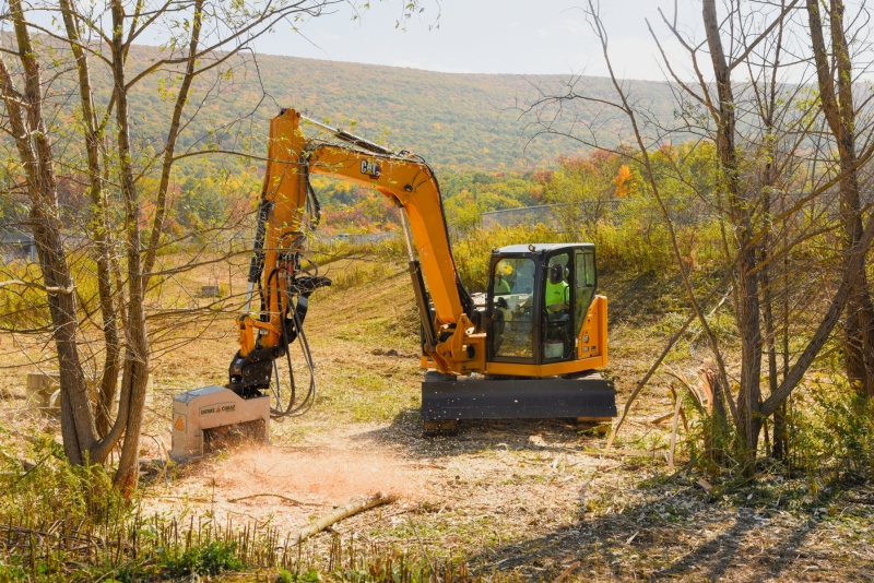 Forestry Mulching & Land Clearing - Pine Croft PA