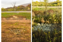 Forestry Mulching & Land Clearing - Pine Croft PA