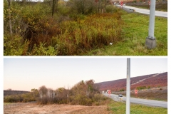 Forestry Mulching & Land Clearing - Pine Croft PA