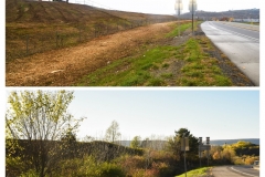 Forestry Mulching & Land Clearing - Pine Croft PA