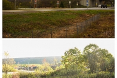 Forestry Mulching & Land Clearing - Pine Croft PA