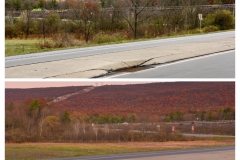 Forestry Mulching & Land Clearing - Pine Croft PA