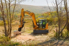 Forestry Mulching & Land Clearing - Pine Croft PA