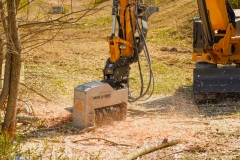 Forestry Mulching & Land Clearing - Pine Croft PA