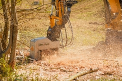 Forestry Mulching & Land Clearing - Pine Croft PA