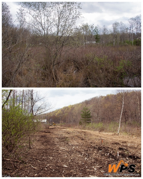 WPS_BeforeandAfter_Portage214-5