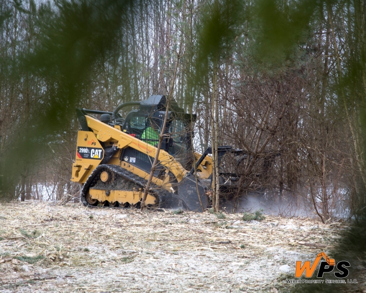 Forestry Mulching & Land Clearing - Portage, PA