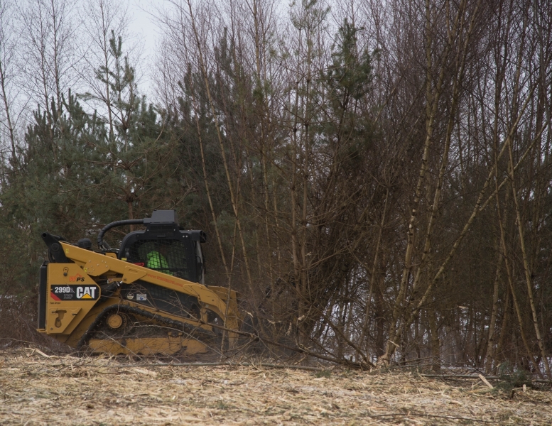 Forestry Mulching & Land Clearing - Portage, PA