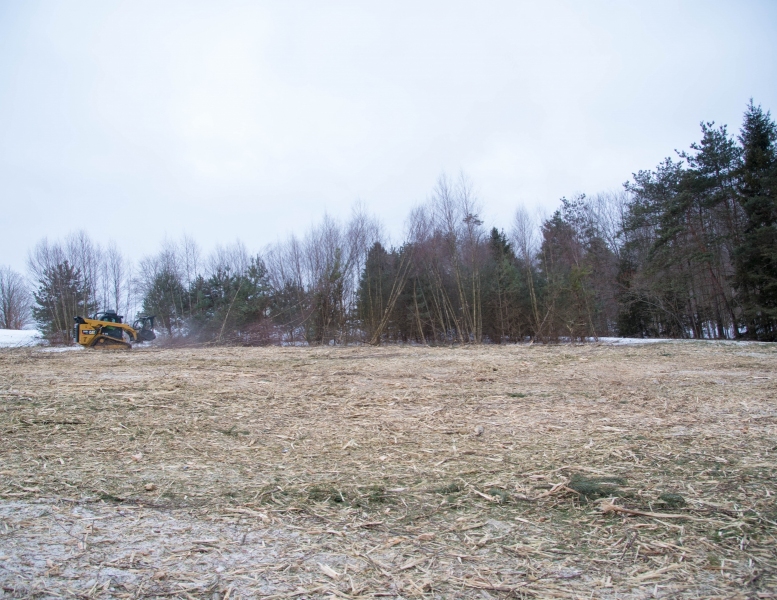 Forestry Mulching & Land Clearing - Portage, PA