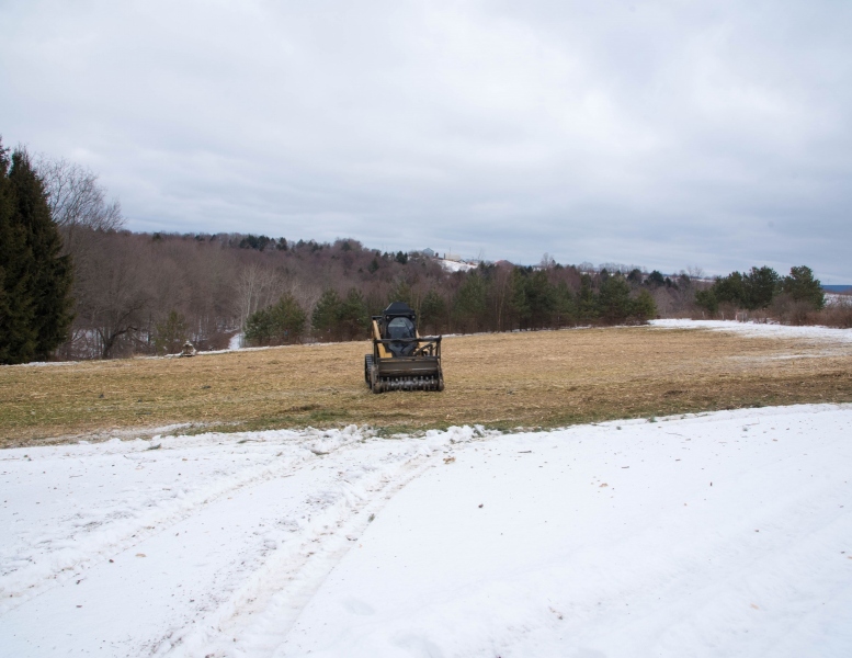 Forestry Mulching & Land Clearing - Portage, PA