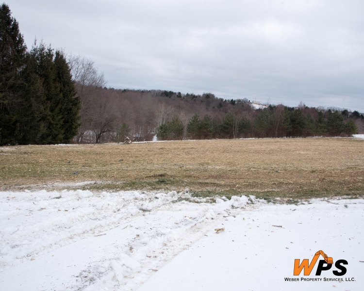 Forestry Mulching & Land Clearing - Portage, PA