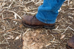 Forestry Mulching & Land Clearing - Portage, PA