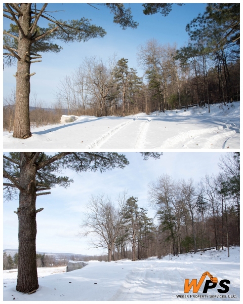 Forestry Mulching - State College, PA