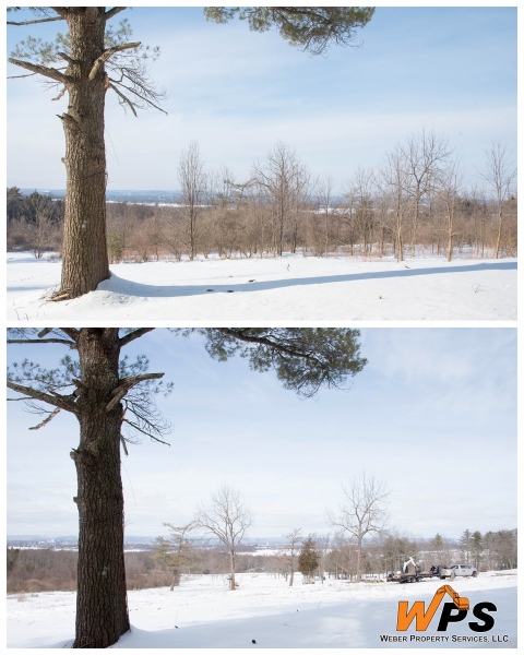 Forestry Mulching - State College, PA