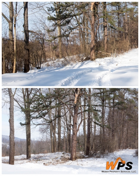 Forestry Mulching - State College, PA