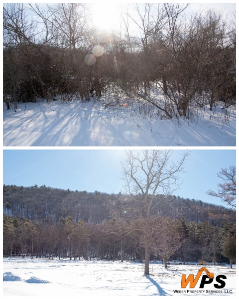 Forestry Mulching - State College, PA