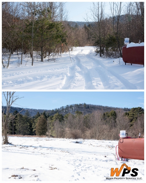 Forestry Mulching - State College, PA