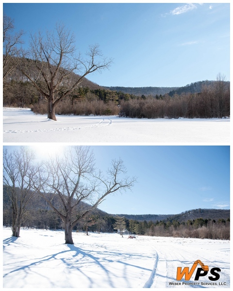 Forestry Mulching - State College, PA