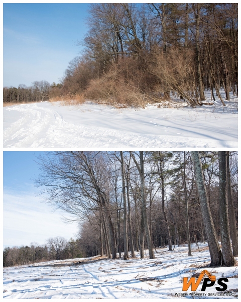 Forestry Mulching - State College, PA