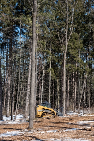 Forestry Mulching - State College, PA