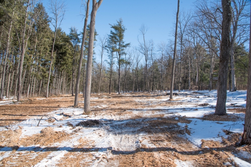 Forestry Mulching - State College, PA