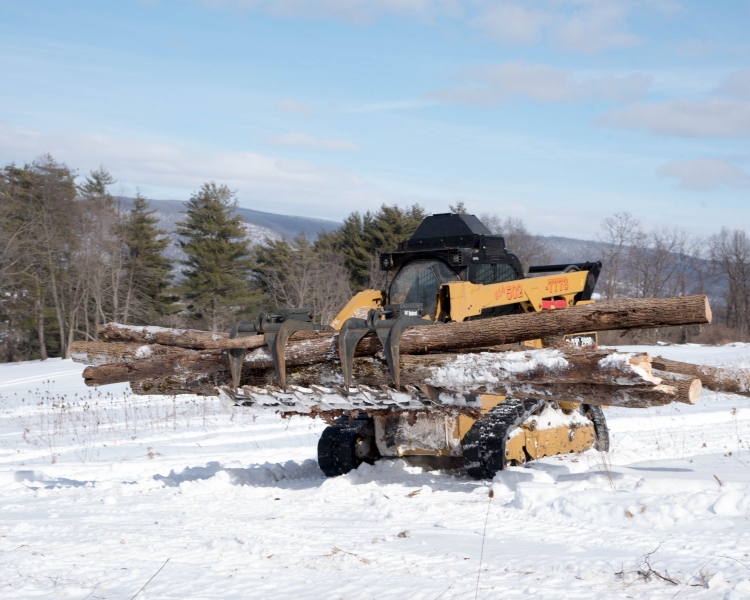 Forestry Mulching - State College, PA