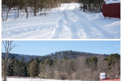 Forestry Mulching - State College, PA