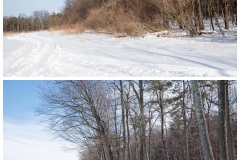 Forestry Mulching - State College, PA