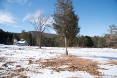 Forestry Mulching - State College, PA