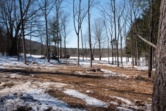 Forestry Mulching - State College, PA